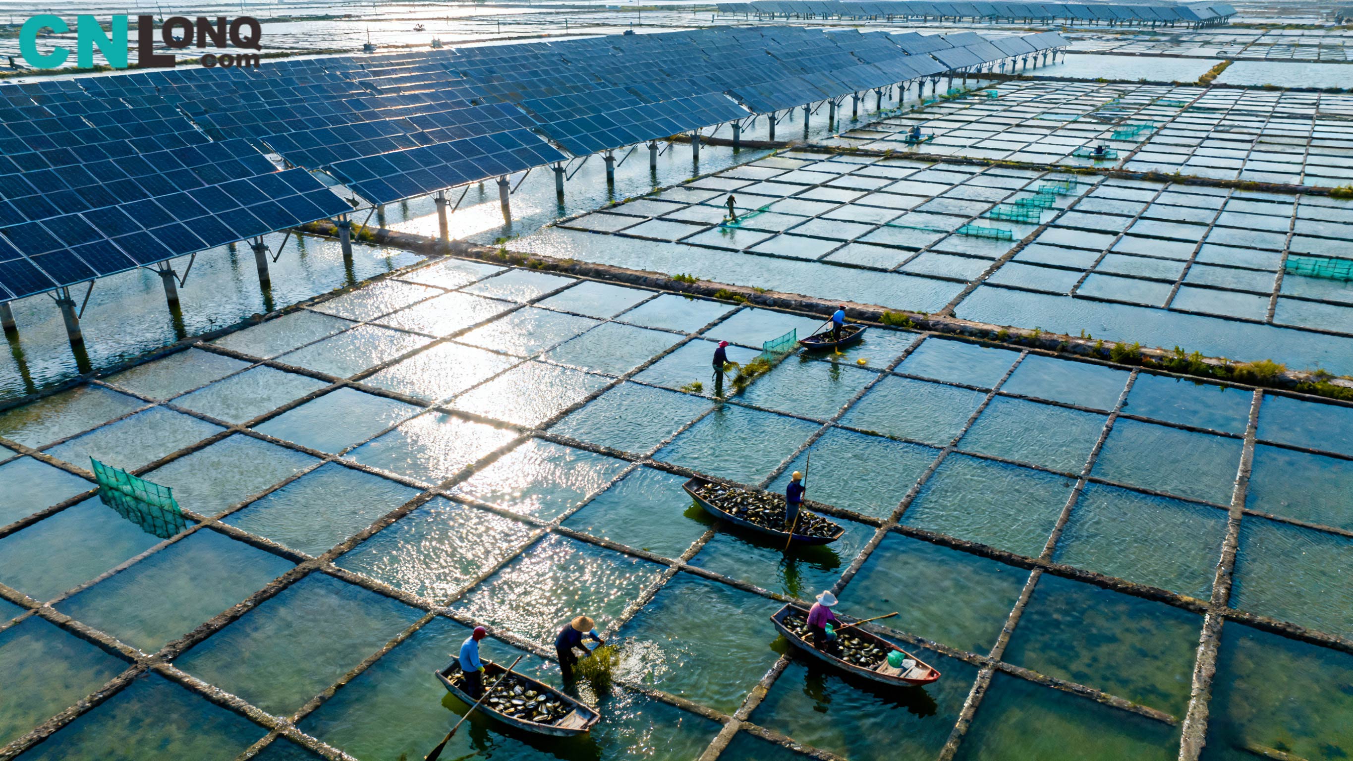 Skupna naložba 1,2 milijarde RMB! Projekt soli Xindao Qingkou z 250 MW 